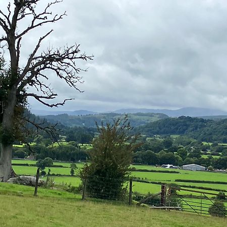 Hares Hideaway At Coed Moelfa Bed and Breakfast Corwen Exterior foto