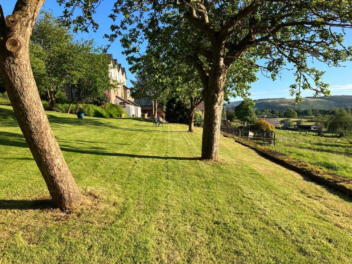 Hares Hideaway At Coed Moelfa Bed and Breakfast Corwen Exterior foto