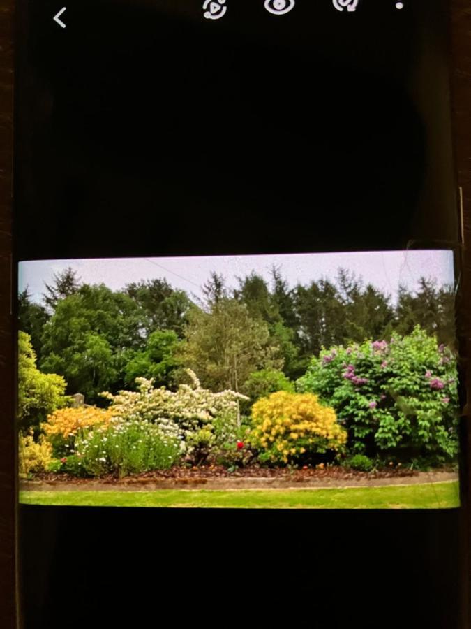 Hares Hideaway At Coed Moelfa Bed and Breakfast Corwen Exterior foto