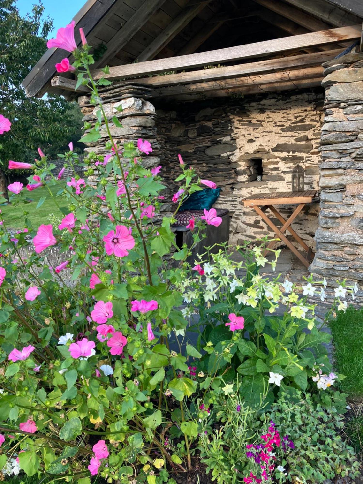 Hares Hideaway At Coed Moelfa Bed and Breakfast Corwen Exterior foto